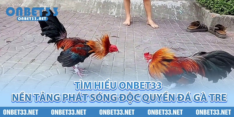 Tìm hiểu Onbet33 – Nền tảng phát sóng độc quyền đá gà tre 