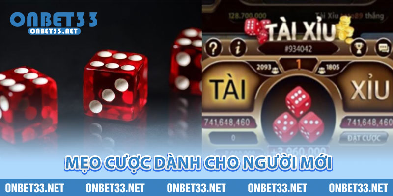 Mẹo cược dành cho người mới 
